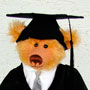 teddy